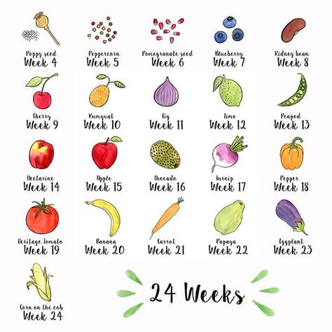 HOW BIG IS MY BABY FRUITS AND VEGETABLES INFOGRAPHIC Baby Size Chart By Week, Pregnancy Fruit, Baby Size By Week, Pregnancy Chart, Prenatal Development, Ultrasound Picture Frame, Baby Weeks, Hello Wonderful, Baby Milestones Pictures