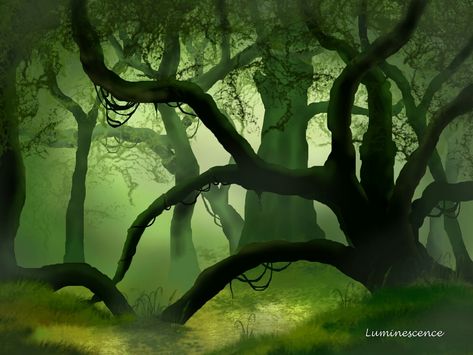 digital art of dense forest Dense Forest Drawing, Scary Forest Illustration, Scary Forest Drawing, Prologue Ideas, Environmental Reference, Forest Backgrounds, Creepy Forest, Forest Magic, Forest Drawing