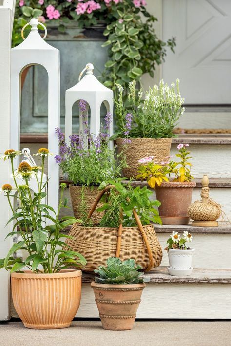 Brooke & Lou (@brookeandlou) • Instagram photos and videos Potted Flowers For Patio, Flowers For Patio, Front Porch Flowers, Rattan Planters, Planters Indoor, Porch Flowers, Potted Flowers, Terra Cotta Pot, Herbs And Flowers