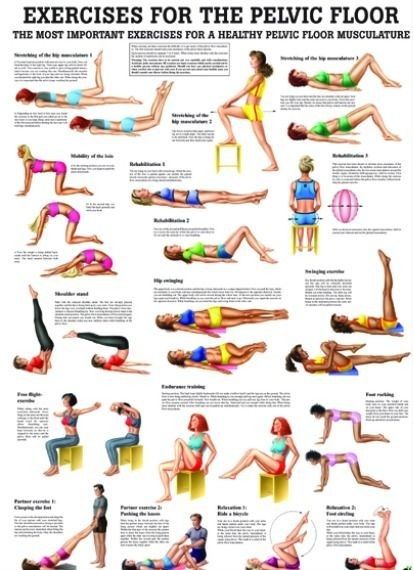 Pelvic Floor Muscle Exercise, Pelvic Floor Therapy, Pelvic Floor Exercises, Floor Exercises, Kegel Exercise, Pelvic Floor Muscles, Post Partum Workout, Floor Workouts, At Home Workout Plan