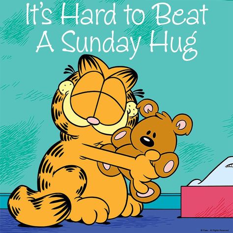 4,495 Likes, 21 Comments - Garfield (@garfield_real) on Instagram: “#selfiesunday  #garfield  #cat #cats #catoftheday #catsagram #catstagram #catsofinstagram #pet…” Sunday Hugs, Garfield 2, Grant County, Group Hug, Garfield Cat, Garfield Comics, Jim Davis, Hug Me, May 7