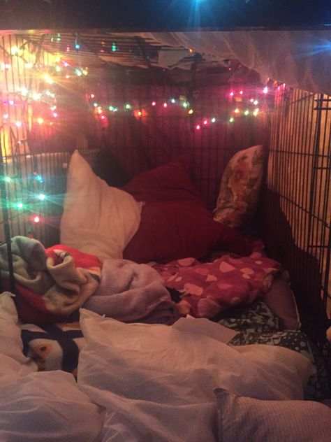 Puppy Crate Aesthetic, Pet Play Dog Cage, Petspace Puppy, Human Cage Aesthetic, Puppy Space Aesthetic, Petspace Aesthetic, Pup Space, Puppy Girl Aesthetic, Dogboy Aesthetic