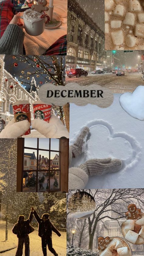 #months aesthetics #december #✨🫶❄️ December Collage Wallpaper, December Birthday Aesthetic, December Aesthetic Vintage, New Month Aesthetic, December Vibes Aesthetic, December Core, December Wallpaper Aesthetic, December Collage, December Dump