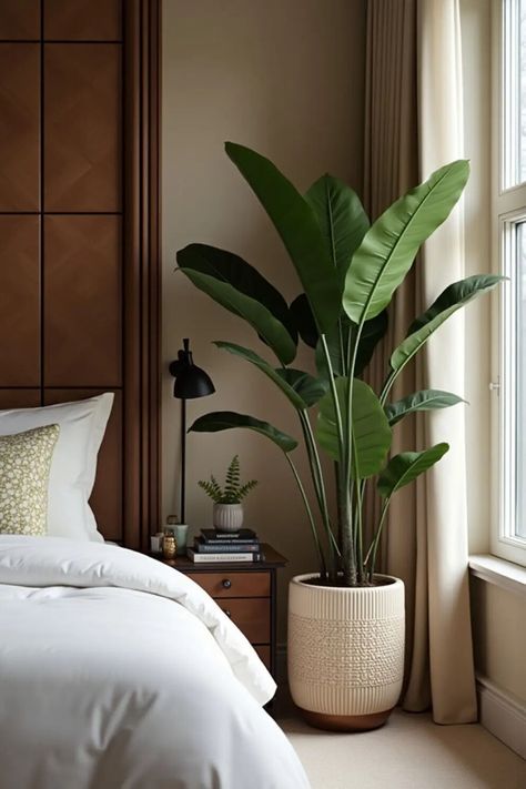 Transform your bedroom into a leafy paradise that’s not just for sleeping! 🌿✨ From oversized potted plants to quirky little succulents, discover how to turn your space into a serene sanctuary. Ready to wake up surrounded by nature? Let these plant decor ideas breathe life into your cozy haven! 🌱💤

#HomeDecor #PlantLovers #GreenLiving Best Plant For Bedroom, Plant For Bedroom, Plants In Bedroom, Bedroom Plants Decor, Plant Bedroom, Plant Decor Ideas, Decor Ideas For Bedroom, Bedroom Plants, Decorative Pots