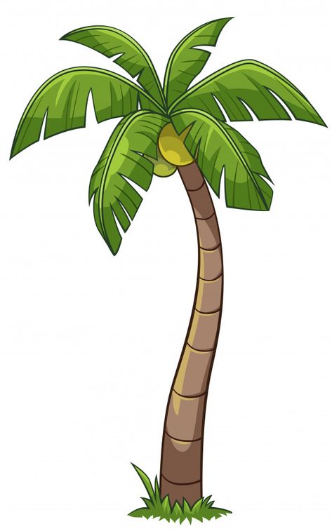 Coconut tree cartoon style Vector ... Coconut Tree Cartoon, Coconut Tree Drawing, Cartoon Palm Tree, Palm Tree Drawing, Tree Cartoon, Sketch Free, Jungle Tree, Cartoon Trees, Coconut Palm Tree