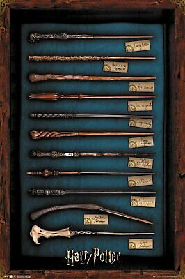 The Wands Of Harry Potter. Albus Dumbledore, Harry Potter, Hermione Granger, Ron Weasley, Neville Longbottom, Ginny Weasley, Minerva McGonagall, Luna Lovegood, Lord Voldemort, Severus Snape & Bellatrix Lestrange. Harry Potter Kawaii, Poster Harry Potter, Film Harry Potter, Imprimibles Harry Potter, Stile Harry Potter, Cumpleaños Harry Potter, Harry Potter Merch, Harry Potter Background, Harry Potter Poster