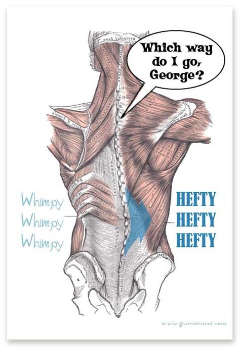 My hip was out and the chiro bill was going to be through the roof until a friend showed me this simple technique to align your spine. Spine Exercises, Weird Picture, Spine Alignment, Trigger Point Therapy, Tight Hip Flexors, Psoas Muscle, Mobility Exercises, Trigger Points, Hip Flexor