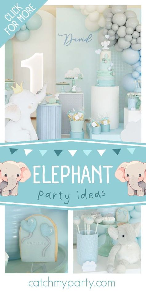 Take a look at this sweet elephant-themed baptism and 1st birthday party! The cookies are adorable! See more party ideas and share yours at CatchMyParty.com Elephant 1st Birthday, Racing Boy, Racing Party, Boys 1st Birthday Party Ideas, Race Car Birthday Party, Elephant Party, Christening Party, Elephant Birthday, Elephant Theme