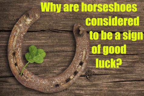 Over the centuries, several origin stories have emerged about why people believe the horseshoe brings good luck. No one knows for sure but, below is the most popular story. The good luck of a horseshoe goes back to the legend of Saint Dunstan from the 10th century. Because of his talented blacksmith skills, the de...........MORE   #TIL #DidYouKnow Bring Good Luck, Lucky Horseshoe, Popular Stories, Why People, A Sign, Good Luck, The Good, Most Popular, The Originals