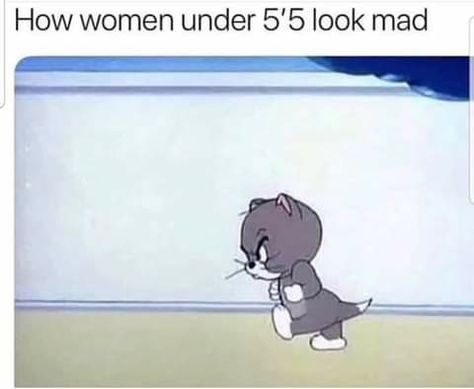 You Memes Funny, Mad Meme, Angry Cat Memes, Angry Meme, Angry Girlfriend, Jerry Images, Tom And Jerry Funny, Tom And Jerry Memes, Angry Baby