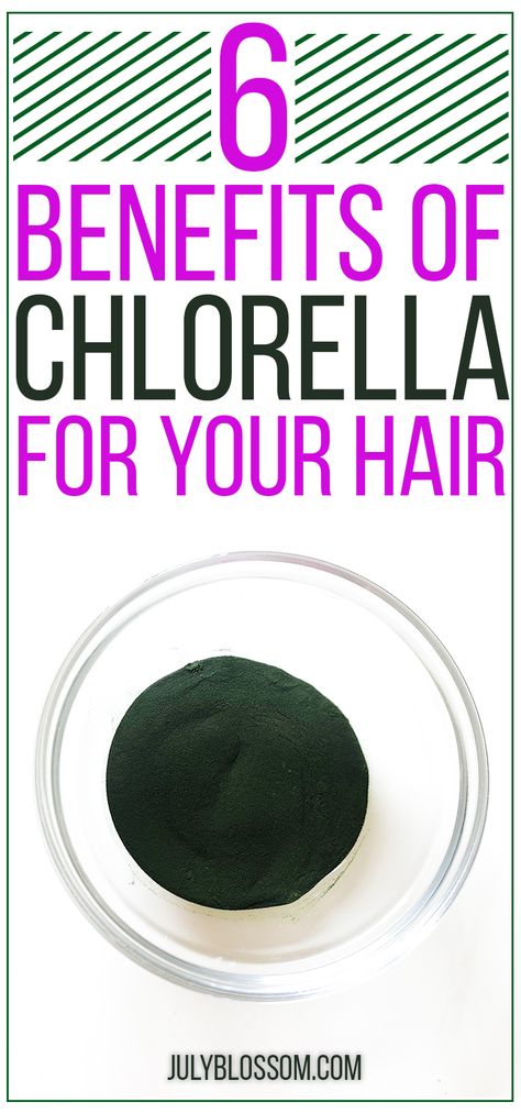 6 Amazing Benefits of Chlorella for Hair – for Longer Locks, Glossy Hair & More - ♡ July Blossom ♡ Chlorella Recipe, Diy Hair Growth Shampoo, Benefits Of Chlorella, Chlorella Benefits, Chlorophyll Benefits, Spirulina Benefits, Curly Hair Growth, Hair Growth Shampoo, Glossy Hair