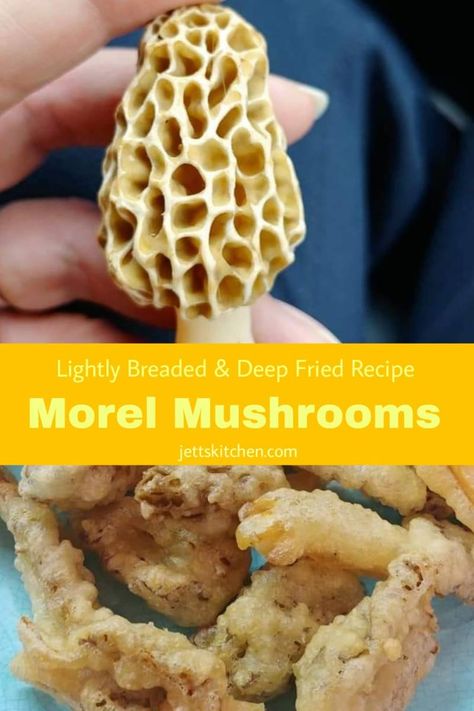 Lightly Breaded Deep Fried Morel Mushrooms Mushroom Tempura, Mushroom Morel, Morel Mushroom Recipes, Tempura Recipe, Deep Fried Recipes, Morel Mushrooms, Mushroom Recipe, Fried Mushrooms, Fry Recipes