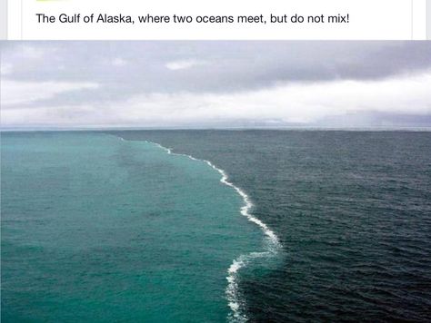 Seems impossible. The Gulf of Alaska , where two oceans meet but do not mix. Minecraft Biome, Two Oceans Meet, Gulf Of Alaska, Minecraft Memes, Biome, Fresh Memes, Edgy Memes, Amazing Nature, Popular Memes