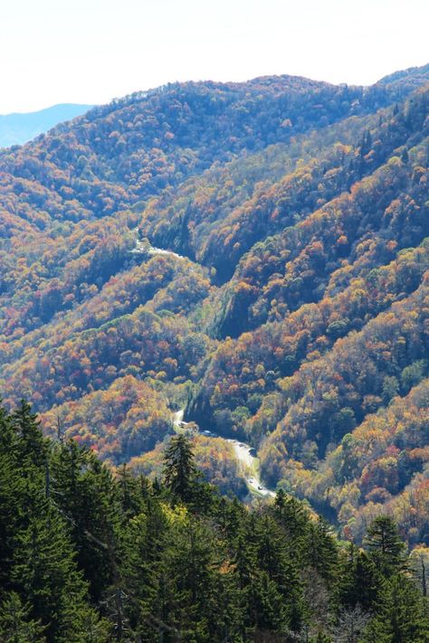 Newfound Gap is the Highest Road In Tennessee Mountains Aesthetic, High Road, East Tennessee, Blue Ridge Parkway, Beautiful Park, Smoky Mountain National Park, Scenic Routes, Gatlinburg, Great Smoky Mountains