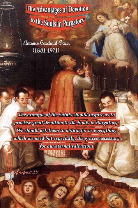 The example of the Saints should inspire us to practise great devotion to the Souls in Purgatory. We should ask them to obtain for us everything which we need but especially, the graces necessary for our eternal salvation!” Antonio Cardinal Bacci Holy Souls In Purgatory, Saint Timothy, Poverty Quotes, Souls In Purgatory, Prayers Of The Saints, Grace Quotes, The Transfiguration, Christ The King, The Lords Prayer