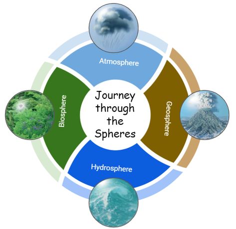 Biogeochemical cycles Biogeochemical Cycles, Roll A Dice, Dice Roller, Rolling Dice, Dice Games, What Happened To You, School Resources, Keep Track, What Happened