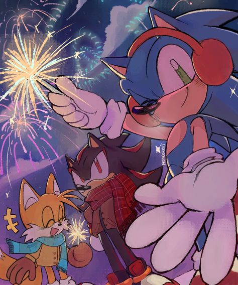 Sonic X Fanart, Sonic And His Friends, Sonic Friends, Sonic And Tails, Shadow Sonic, Sonic X, Sonic Funny, Sonic 3, Happy New Year 2024