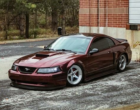 Mustang Newedge Mustang, 1999 Mustang, 2002 Ford Mustang Gt, 2003 Mustang, Mustang 65, 04 Mustang, 2004 Mustang, Cobra Mustang, Sn95 Mustang