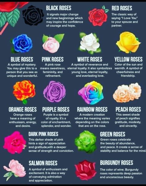 Rose Color Meanings, Instagram Roses, Basic Japanese Words, Plant Magic, Writing Prompts For Writers, Creative Writing Tips, Flower Meanings, Coloring Inspiration, Color Meanings