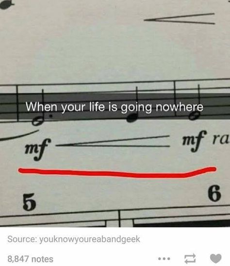 When your life is going nowhere... Marching Band Memes, Music Puns, Marching Band Humor, Going Nowhere, Band Jokes, Music Jokes, Band Nerd, Music Nerd, Band Geek