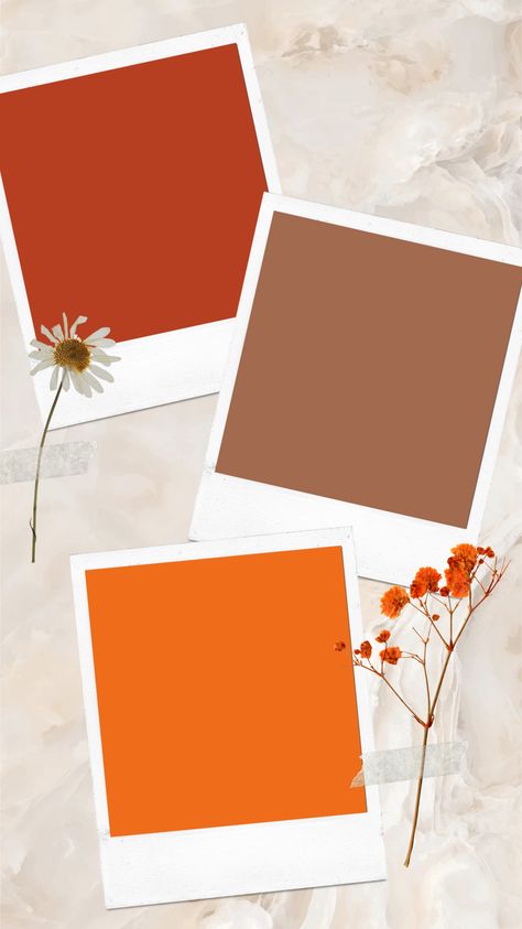 Polaroid and dried flowers background, perfect for social media stories! Add your own text or photos to the polaroids in instagram stories! #socialmedia #template Background Photo For Instagram Story, Frames Instagram Stories, Thankful Instagram Story Template, Thanksgiving Instagram Story Template, Insta Photo Template, Fall Instagram Templates, Thanksgiving Templates Instagram, Ig Post Background, Cute Templates Background