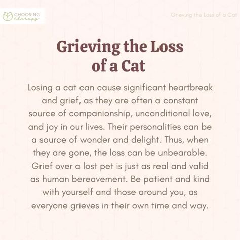 Losing My Cat Quotes, Quotes About Loosing Your Cat, Losing Your Pet Quotes Cats, Poetry About Losing A Pet, Quotes About Losing A Cat, Losing Cat Quotes, Losing Pets Quotes Cat, Cat Passing Quotes, Childhood Pet Loss