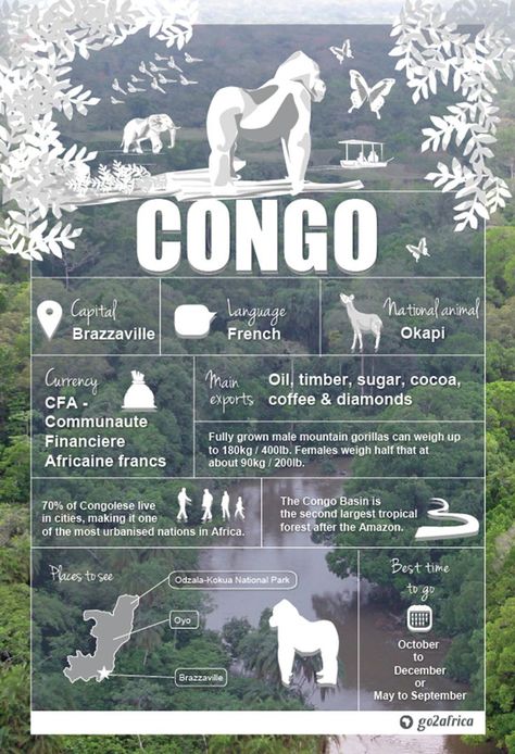 Country Information, Africa Travel Guide, Gorilla Trekking, Travel Infographic, Travel Facts, National Animal, Democratic Republic Of The Congo, Outdoors Tattoo, African Countries