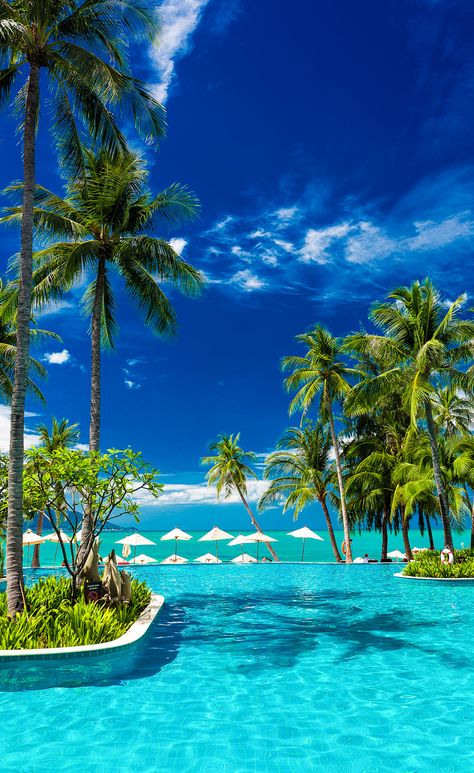 Infinity Swimming Pool, Beach With Palm Trees, Summer Clouds, Beautiful Beach Pictures, Dream Vacations Destinations, Exotic Places, Caught On Camera, Dream Beach, Dream Travel Destinations