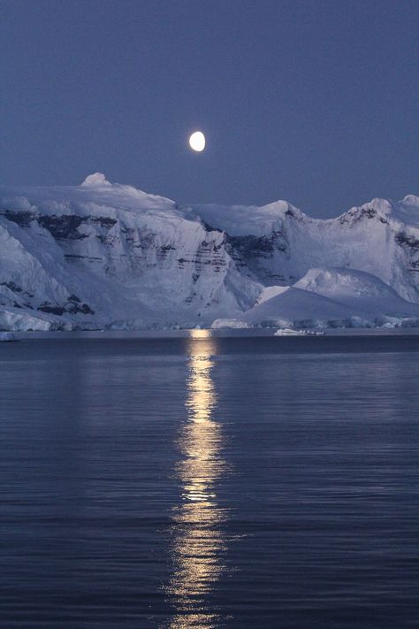 Antartica Cruise Ships, Nunavut Aesthetic, Antartica Aesthetic, Great Blue Hole Belize, The Great Blue Hole, Blue Hole Belize, Great Blue Hole, Art Notes, Polar Night