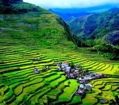 The spectacular rice terraces in the Philippines - HD Wallpapers , Picture ,Background ,Photos ,Image - Free HQ Wallpaper - HD Wallpaper PC Banaue Rice Terraces, Philippines Tourism, Philippines Travel Guide, Banaue, Vietnam Voyage, Rice Field, Rice Fields, Rice Terraces, Cebu City