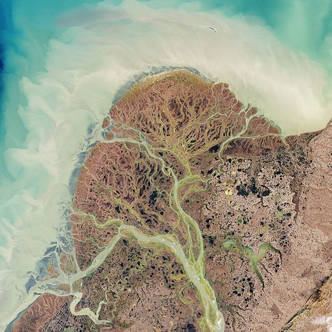 Spectacular images of Arctic/Boreal river deltas -https://panethos.wordpress.com/2015/01/13/spectacular-images-of-arcticboreal-river-deltas/ Yukon River, Nasa Earth, River Delta, Satellite Image, Space Photos, Earth From Space, Aerial Photo, Aerial Photography, Out Of This World