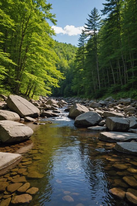 Escape to the Catskills: Finding Solitude in New York's Mountain Getaways Secluded Cabin, Serene Nature, The Catskills, Catskill Mountains, Nature Hiking, Mountain Getaway, Adirondack Mountains, Walk In The Woods, Enjoy Nature