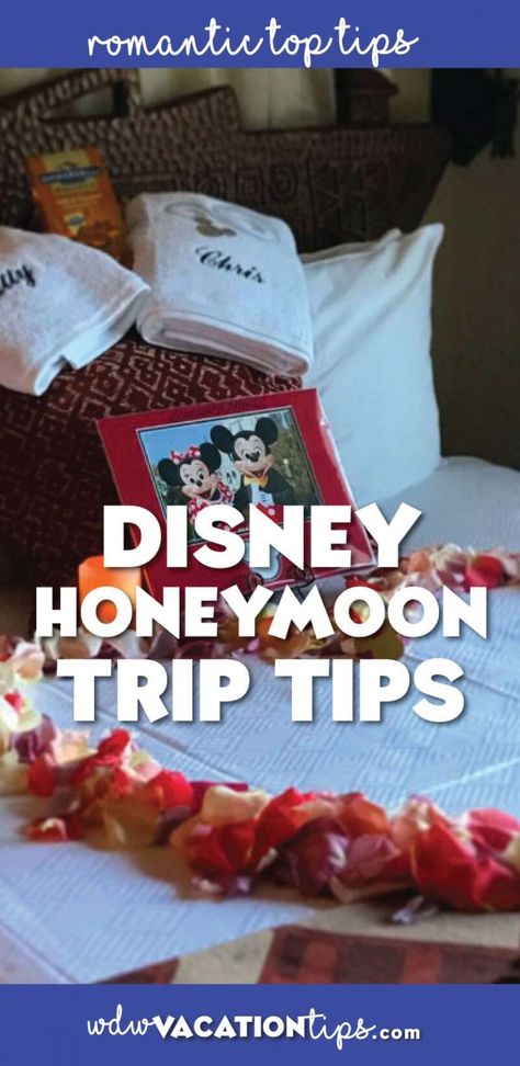 Honeymoon Disney, Disney World Honeymoon, Honeymoon Usa, Top Honeymoon Destinations, Honeymoon Tips, Disney Honeymoon, Honeymoon Trip, Honeymoon Cruise, Honeymoon Places