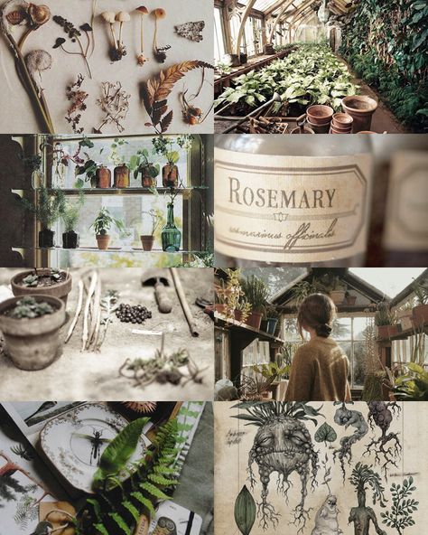 world of harry potter: Herbology“ Three times a week they went out to the greenhouses behind the castle to study Herbology, with a dumpy little witch called Professor Sprout, where they learned how to take care of strange plants and fungi, and found...