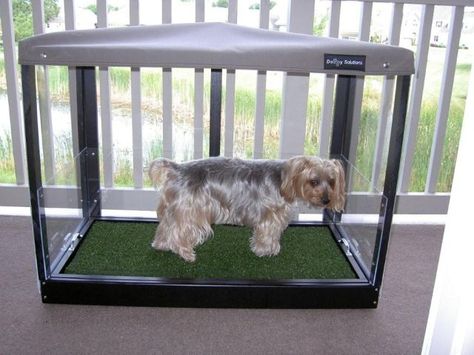 8-15 Covered potty Doggy Solutions Dog Potty Area, Kennel Ideas Outdoor, Indoor Dog Potty, Cheap Dog Kennels, Dog Kennel Cover, Dog Bathroom, Diy Dog Kennel, Dog House Plans, Bathroom Apartment