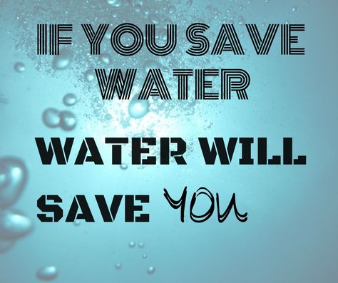 World Water Day Quotes, Water Pollution Quotes, Water Conservation Slogans, Save Water Images, Pollution Quotes, Save Water Quotes, Save Water Save Earth, Save Water Slogans, Water Cycle For Kids