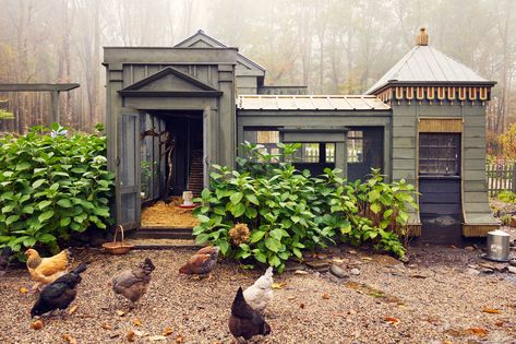 fancy chicken coop