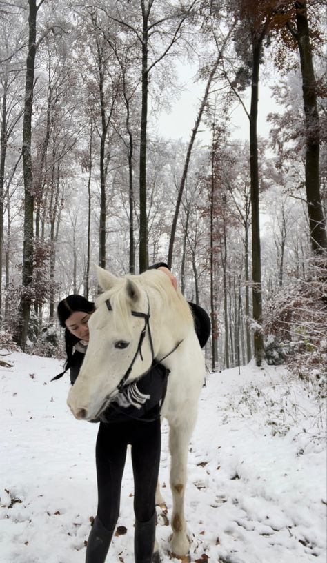 Winter Horse Aesthetic, Winter Farm Aesthetic, Horses In Snow, Winter Horse, Equestrian Aesthetic, My True Love, Winter Love, Cute Horses, Horse Life