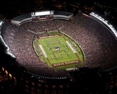 Doak Campbell Stadium  Go to an FSU football game during the regular season. The spring game is fun too. Doak Campbell Stadium, Fsu Stadium, Noles Football, Western Wallpapers, Florida State Seminole, Florida State Seminoles Football, Stadium Wallpaper, Florida State Football, Seminoles Football