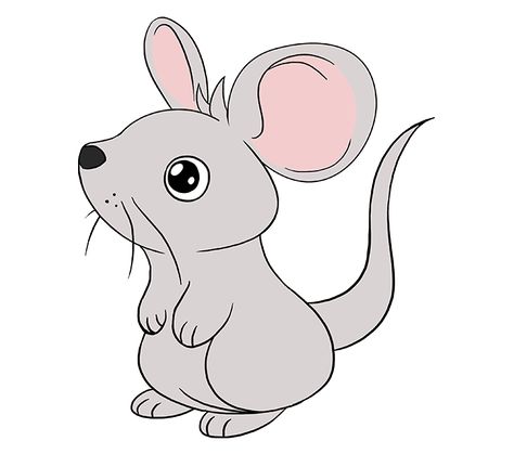 Learn to draw a cute mouse. #mouse #drawing #tutorial Cartoon Mice Drawing, Mouse Sketch, Mouse Pictures, Mouse Drawing, Easy Drawing Tutorial, Best Anime Drawings, Pet Mice, Mickey Mouse Cartoon, Doodle Coloring