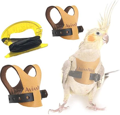 Bird Harness, Finch Cage, Bird Parrot, Funny Parrots, African Grey Parrot, Diy Birds, Pebble Grey, African Grey, Bird Cages