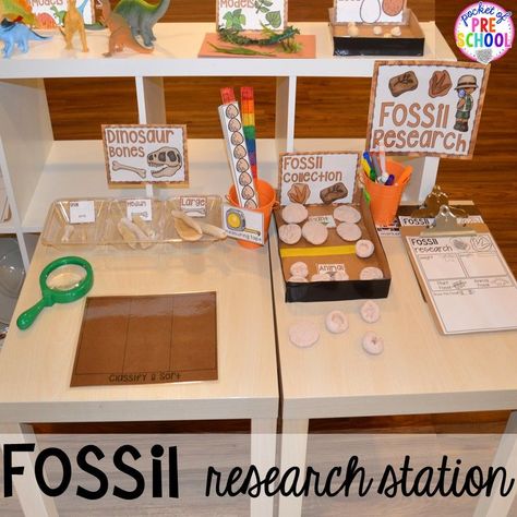 Museum Dramatic Play Preschool, Preschool Fossil Activities, Dinosaur Fossils Activities, Fossils For Kindergarten, Fossils Preschool Activities, Dino Stem Activities Preschool, Preschool Paleontologist Activities, Dinasour Week Preschool, Drama Centre Ideas Kindergarten