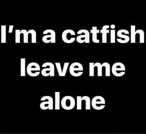 I know people that are CATFISH 😂🤣 Catfishing Quotes, Catfished Quotes, Discord Catfish Pfp, Catfish Meme, Catfish Quotes, Catfish Pics To Use, Twst Oc, Catfish Pics, Funny Emoticons