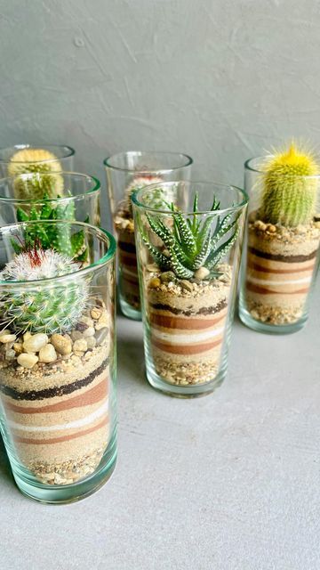 Flower Vase Terrarium, Succulent In Glass Vase, Artificial Terrarium Ideas, Plant Workshop Ideas, Desert Terrarium Ideas, Plant Crafts For Adults, Cactus Terrarium Ideas, Dessert Terrarium, Mini Terrarium Ideas