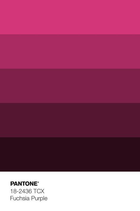 Fuschia Palette, Pink Winter Color Palette, Magenta Color Pallete, Dark Pink Colour Palette, Fusia Pink Color Palette, Dark Pink Palette, Dark Pink Color Palette, Magenta Colour Palette, Dark Magenta Color Palette