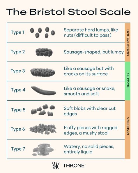 The Bristol Stool Scale is a valuable tool for assessing bowel function and diagnosing gastrointestinal conditions — or to put it more simply, how “good” your poop is. 

Using the Bristol Stool Scale:

Stool types 1-2 indicate constipation
Stool types 3-4 are healthy stools
Stool types 5-7 may indicate diarrhea and urgency

The Bristol Stool Scale is used by both doctors and patients to help make better decisions about gut health. Bristol Stool, Doctors And Patients, Stool Sample, Gastrointestinal Disorders, Medical Anatomy, Change Is Good, Digestive Health, Medical Advice, Gut Health