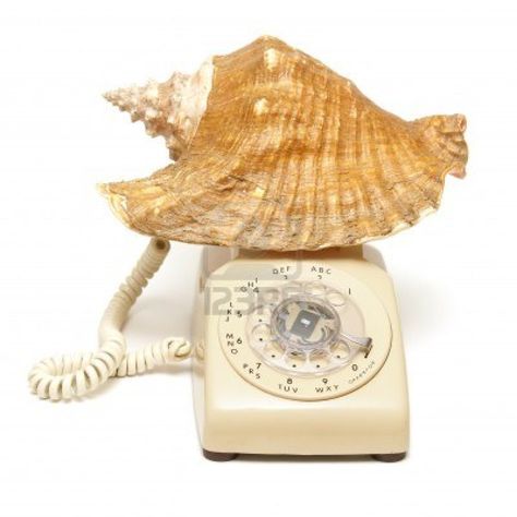 someone's calling you on your shellphone Colorful Swimsuit, Mermaid Phone, Coconut Perfume, Old Phones, Big Shell, Pick Up The Phone, Shell Phone, Mermaid Shell, Widget Icons