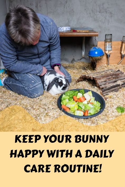 Discover the secrets to a happy and healthy rabbit with our comprehensive Rabbit Daily Care Routine! 🐇🌱 Learn how to create the perfect daily routine for rabbits, ensuring their well-being and happiness. 🕊️💖 From feeding tips to exercise ideas, we've got you covered on all aspects of bunny care. 🥕✨ Find out what is the daily routine of a rabbit and how you can incorporate it into your own schedule seamlessly. Bunny Feeding Schedule, Rabbit Feeding Schedule, Taking Care Of Bunnies, Rabbit Essentials, Perfect Daily Routine, Daily Care Routine, Rabbit Feeding, Rabbit Diet, Bunny Care