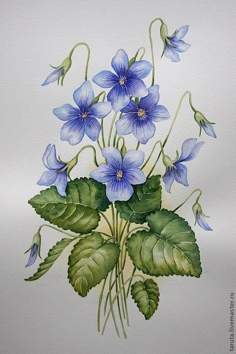 Violet & Pansy Yellow Decorations, Jacket Painting, Paintings Tutorials, Watercolor Beginner, Illustration Botanique, Watercolor Flower Art, Flower Paintings, 수��채화 그림, Botanical Painting