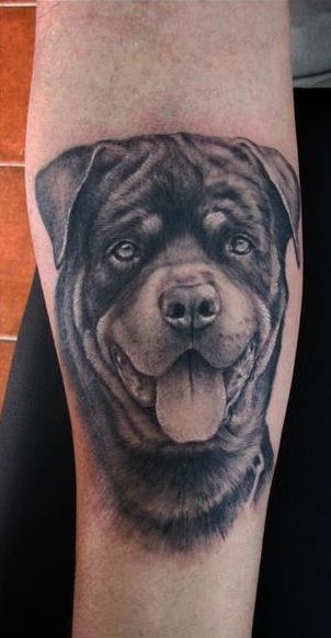 18 Rottweiler Tattoo Designs You'll Love | The Dogman Rottweiler Tattoo, Puppy Tattoo, Rottweiler Breed, Dog Memorial Tattoos, Biker Tattoos, Memorial Tattoos, A Best Friend, Rottweiler Dog, Wings Tattoo